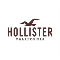 Hollister Co.